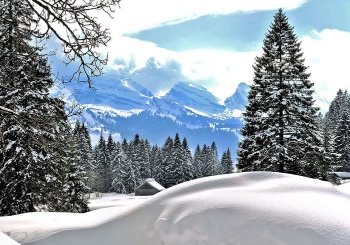 mountains in winter