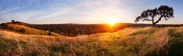 Landscape by Simon Christen