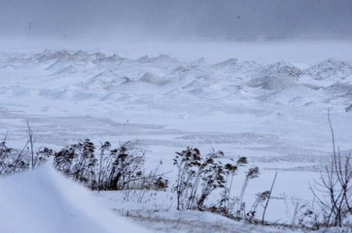 2011 Groundhog Day Blizzard, North America