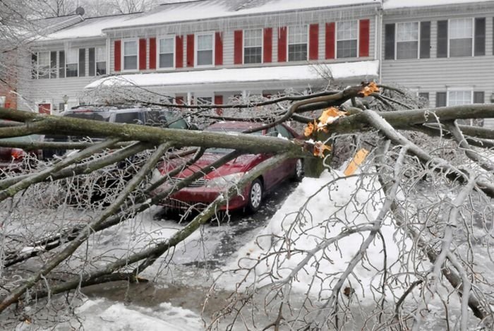 2011 Groundhog Day Blizzard, North America