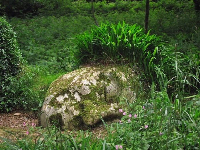 The Lost Gardens of Heligan, Mevagissey, United Kingdom