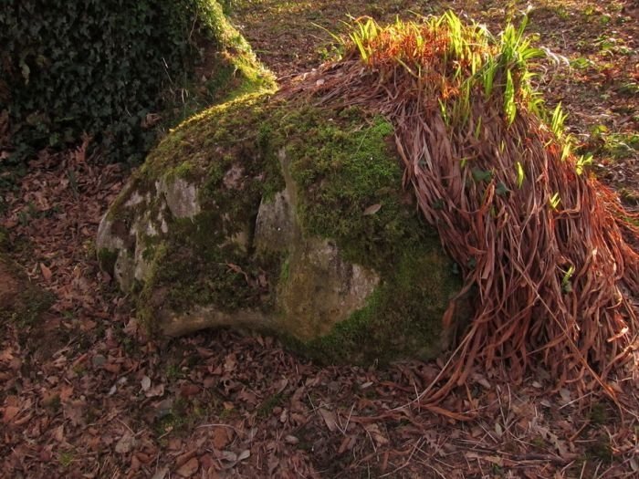 The Lost Gardens of Heligan, Mevagissey, United Kingdom