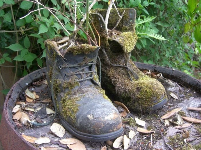 The Lost Gardens of Heligan, Mevagissey, United Kingdom