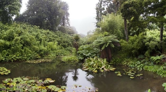 The Lost Gardens of Heligan, Mevagissey, United Kingdom