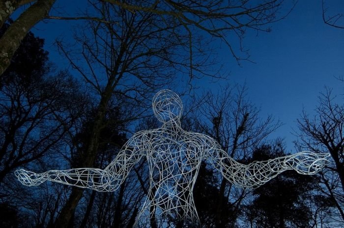 The Lost Gardens of Heligan, Mevagissey, United Kingdom