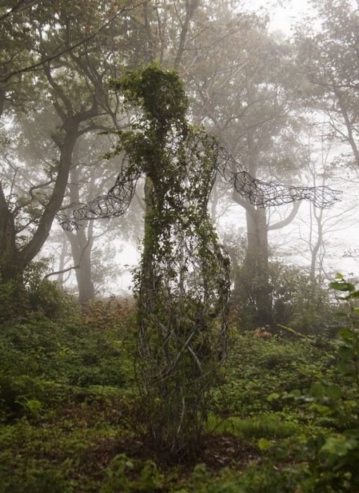 The Lost Gardens of Heligan, Mevagissey, United Kingdom