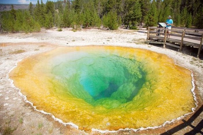 Morning glory spring, Yellowstone National Park, United States