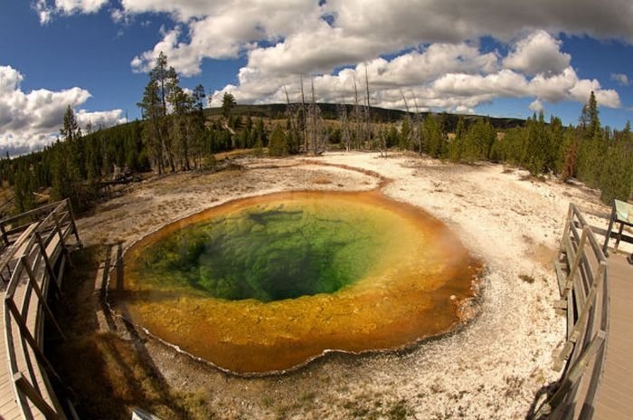 Morning glory spring, Yellowstone National Park, United States