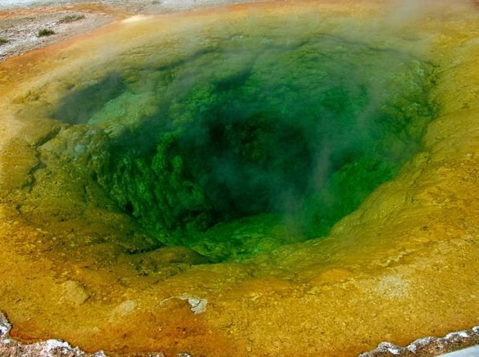 Morning glory spring, Yellowstone National Park, United States