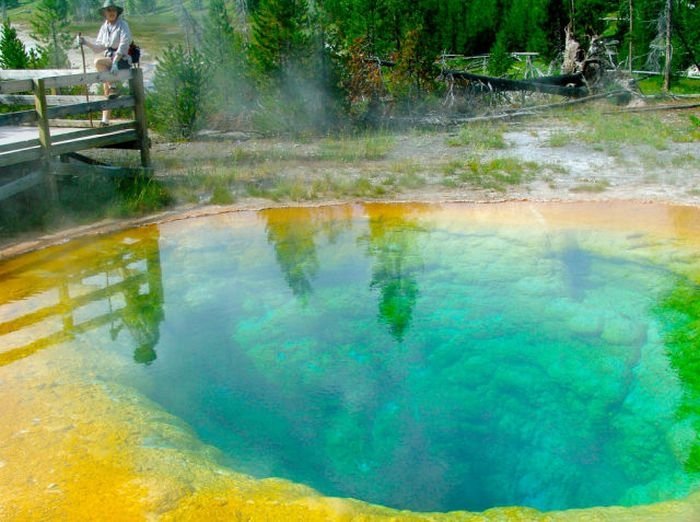 Morning glory spring, Yellowstone National Park, United States