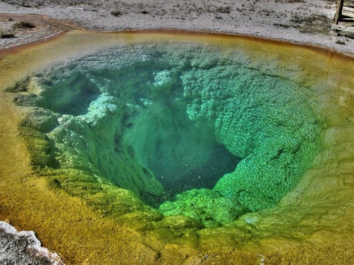 Morning glory spring, Yellowstone National Park, United States