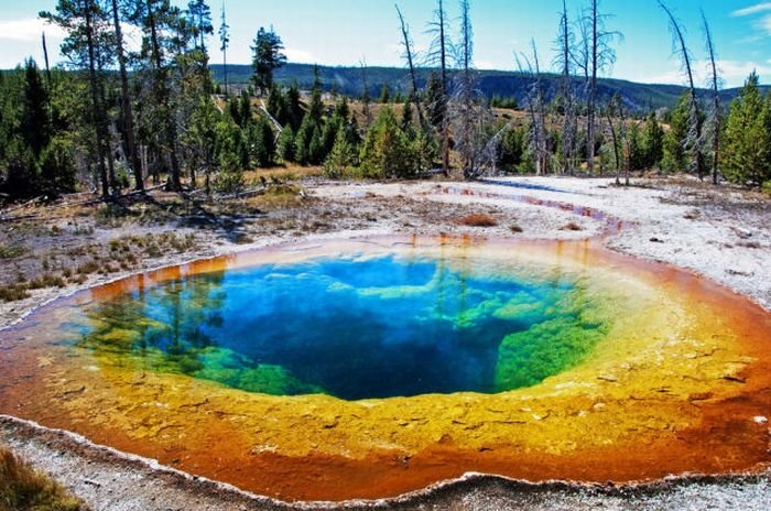 Morning glory spring, Yellowstone National Park, United States