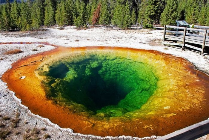 Morning glory spring, Yellowstone National Park, United States