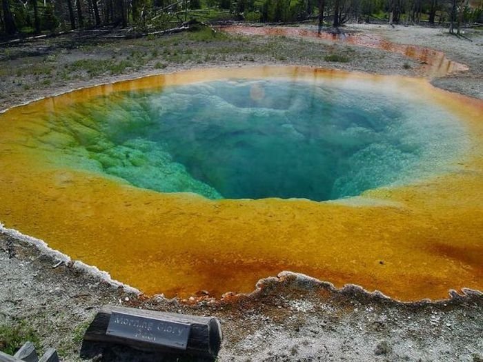 Morning glory spring, Yellowstone National Park, United States