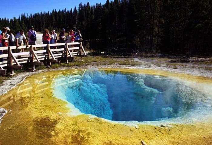 Morning glory spring, Yellowstone National Park, United States