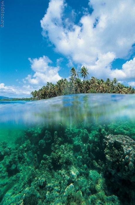 Heaven on earth, French Polynesia