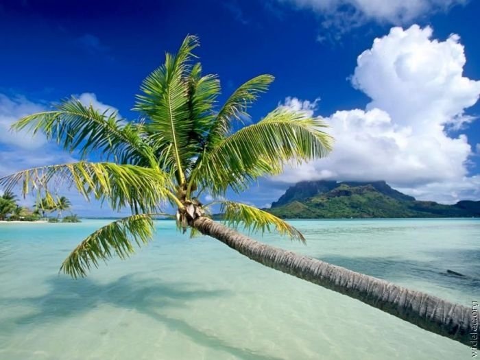 Heaven on earth, French Polynesia