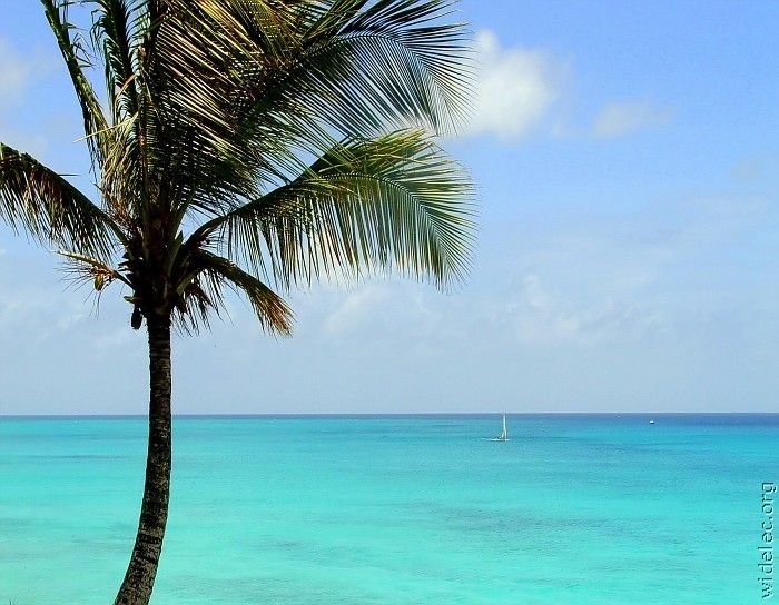 Heaven on earth, French Polynesia