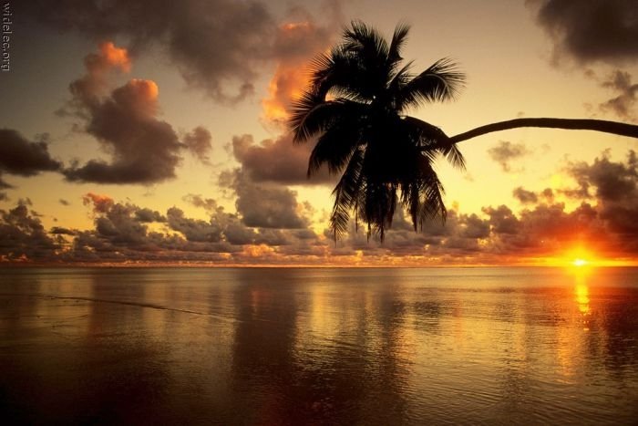 Heaven on earth, French Polynesia