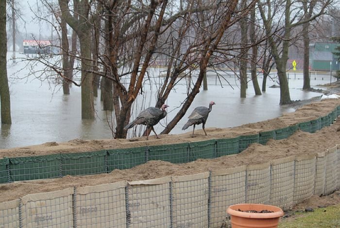 2011 Red River Flood, North Dakota, Minnesota, United States