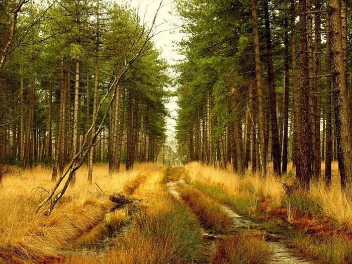 Nature landscapes by Lars Van De Goor