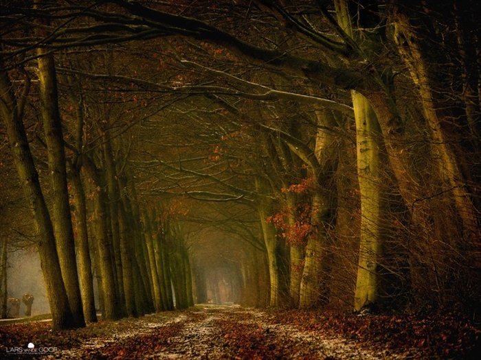 Nature landscapes by Lars Van De Goor