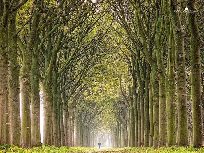 Nature landscapes by Lars Van De Goor