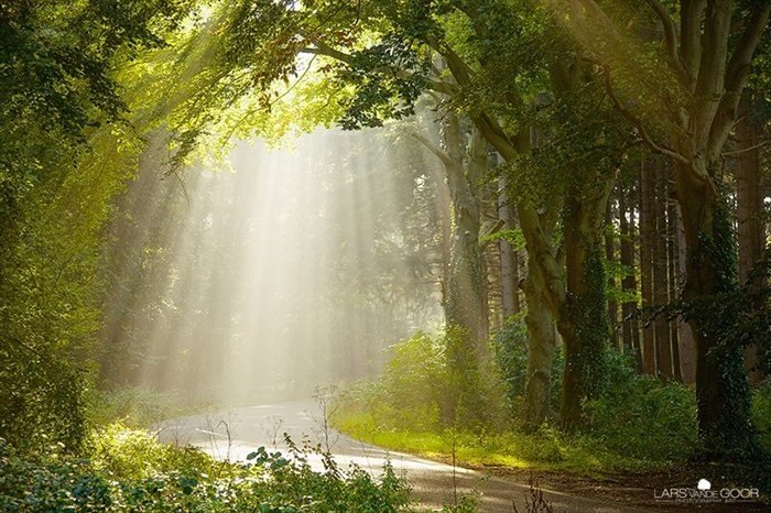 Nature landscapes by Lars Van De Goor