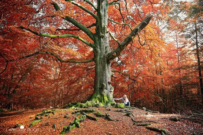 Nature landscapes by Lars Van De Goor