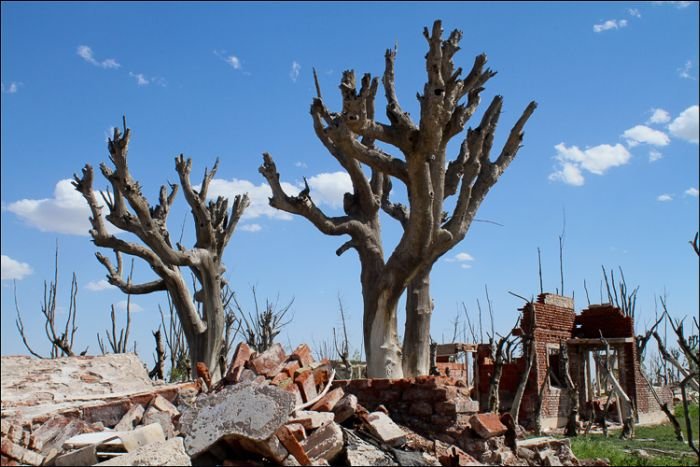 Pablo Novak, alone in the flooded town, Epecuen, Argentina