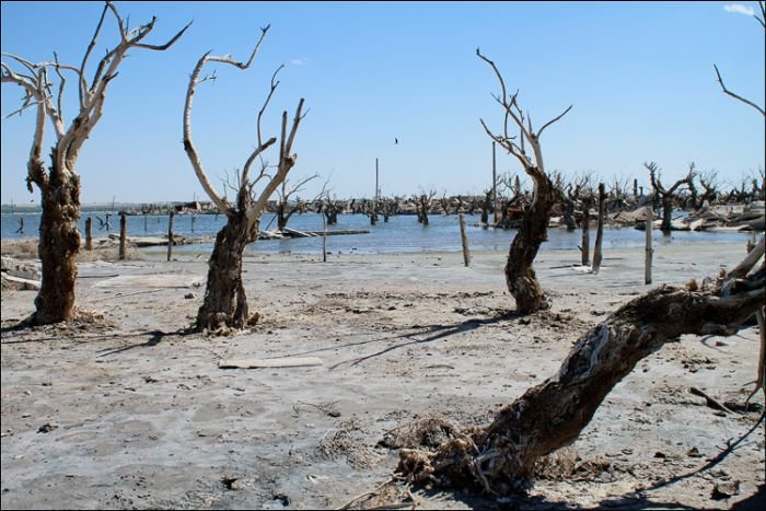 Pablo Novak, alone in the flooded town, Epecuen, Argentina