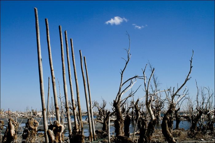 Pablo Novak, alone in the flooded town, Epecuen, Argentina