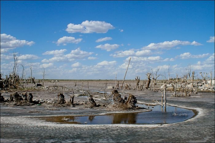 Pablo Novak, alone in the flooded town, Epecuen, Argentina