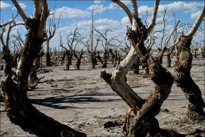 Pablo Novak, alone in the flooded town, Epecuen, Argentina