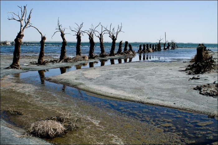 Pablo Novak, alone in the flooded town, Epecuen, Argentina