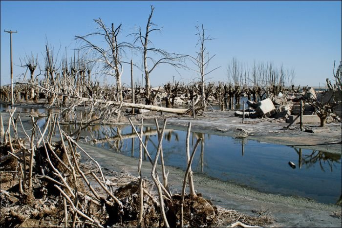 Pablo Novak, alone in the flooded town, Epecuen, Argentina