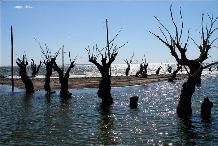 Pablo Novak, alone in the flooded town, Epecuen, Argentina