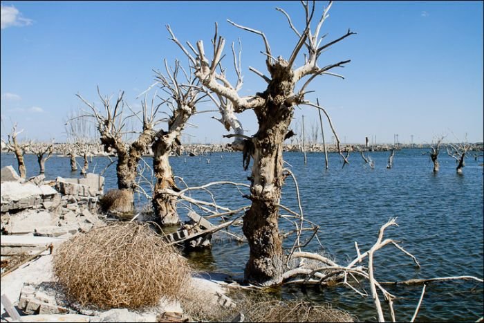 Pablo Novak, alone in the flooded town, Epecuen, Argentina