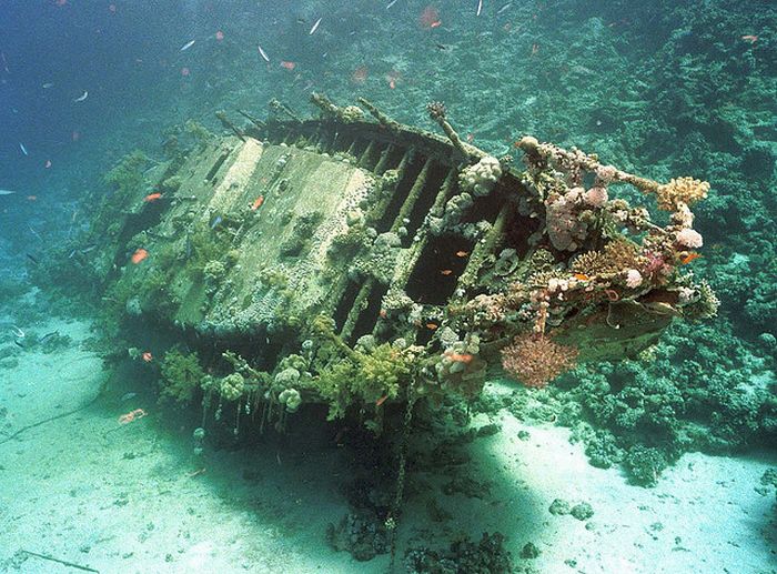 artificial reef