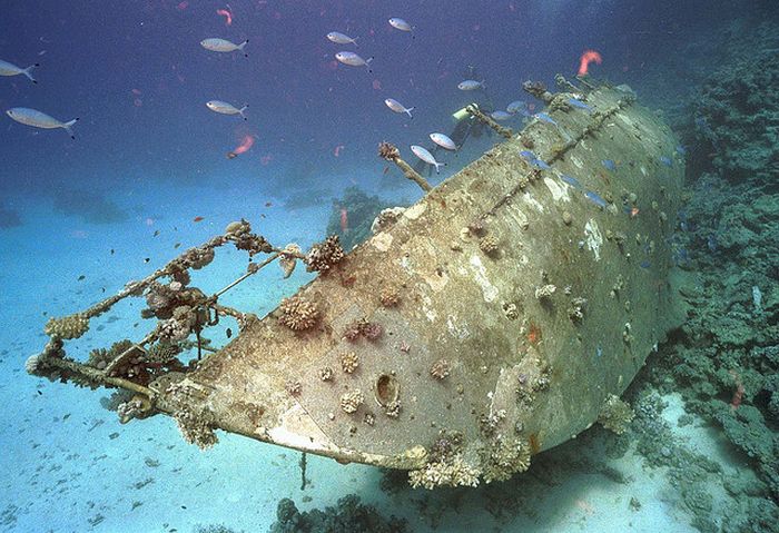 artificial reef