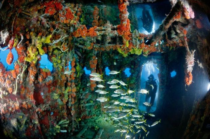 artificial reef