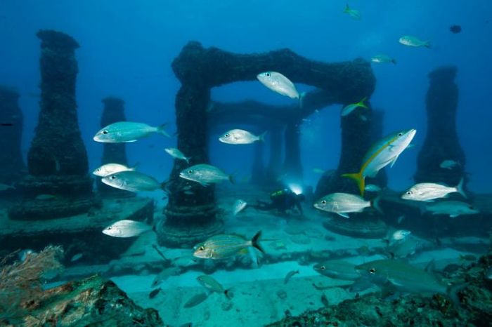 artificial reef