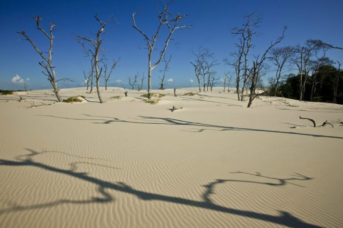 Lençóis Maranhenses National Park, Maranhão, Brazil