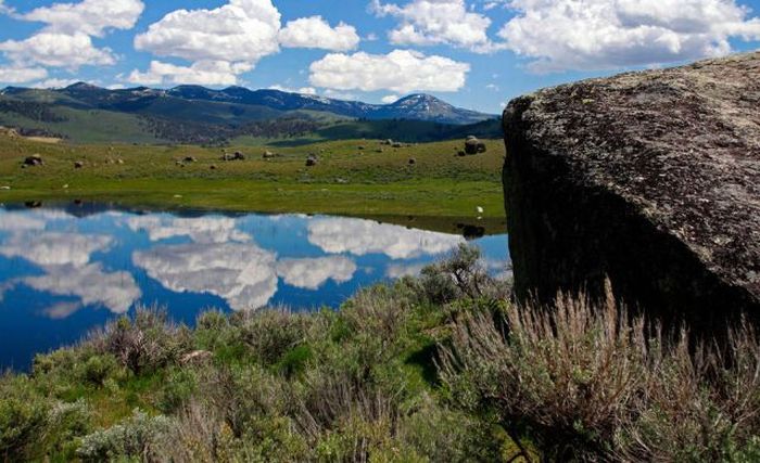 Yellowstone National Park, Wyoming, Idaho, Montana, United States