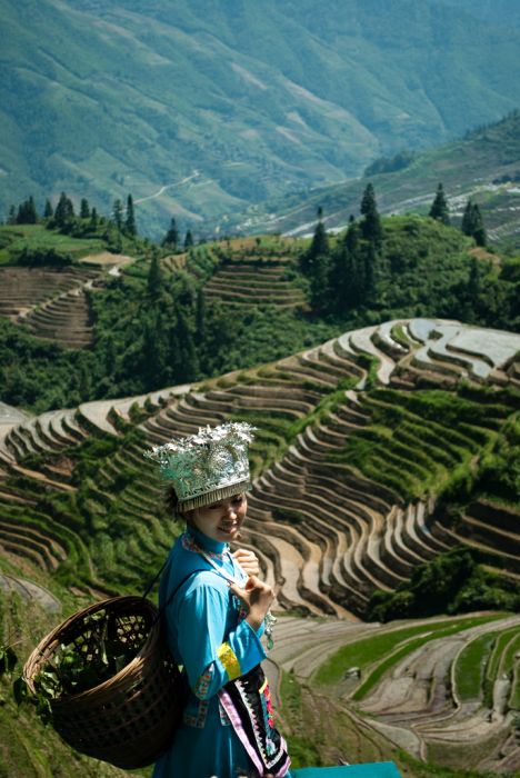 paddy fields, rice terraces