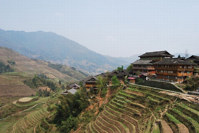 paddy fields, rice terraces