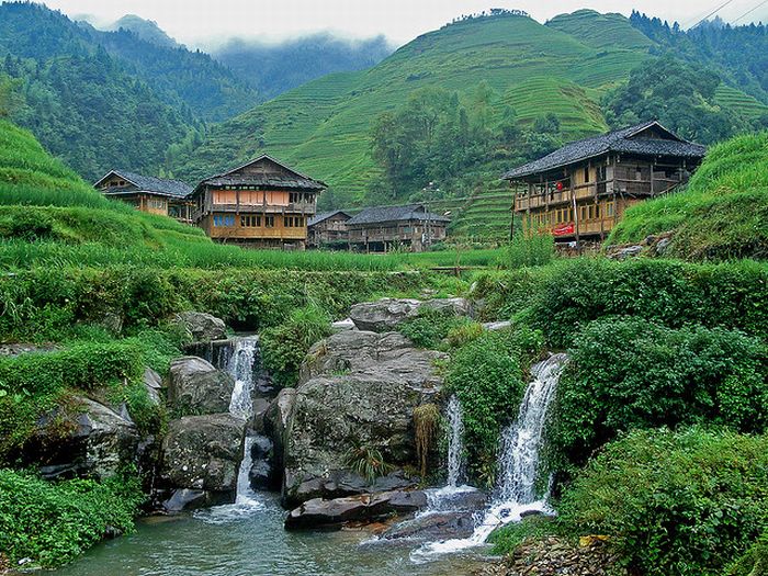 paddy fields, rice terraces