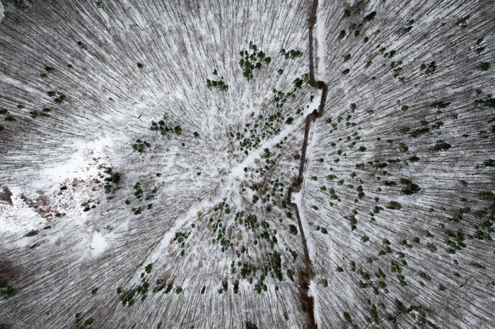 bird's-eye view of winter