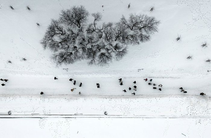bird's-eye view of winter