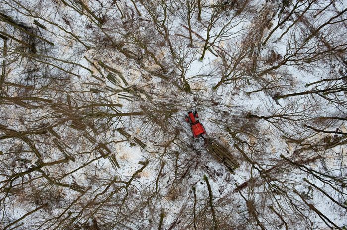 bird's-eye view of winter